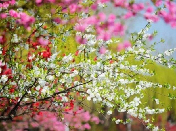 image-1653640370-1648803049_a6b2102d32c1e22aafc22ad5ddf45c55