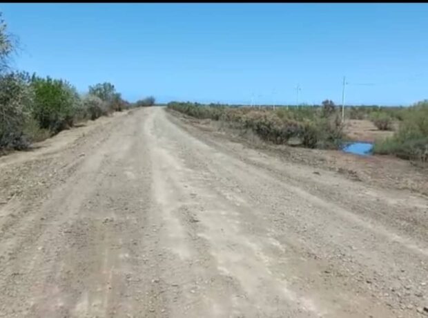 image-282097971_5490884300922158_1416992371391284793_n