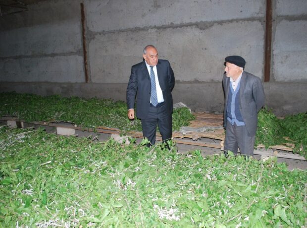 image-945b8482360071aea625ced852d18491