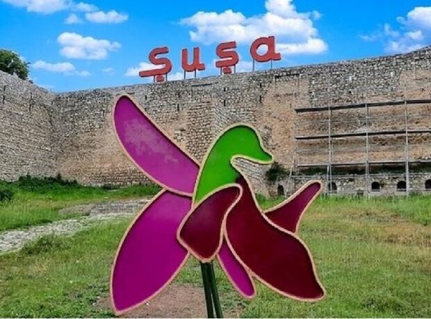 image-015e3193162339203129673418110289170-1