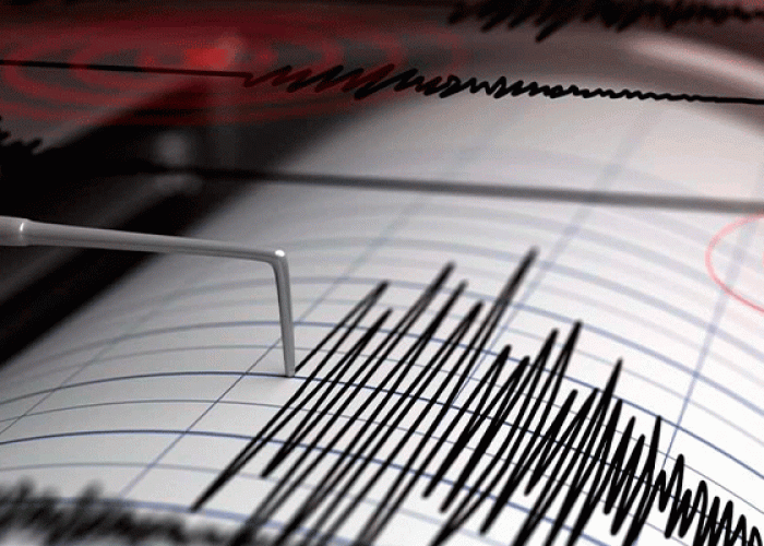 image-1650171813-zelzeleee-1