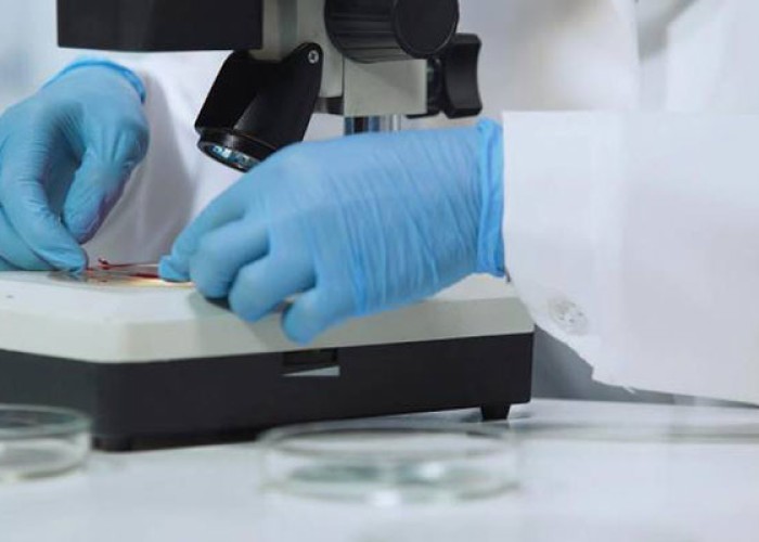 image-1653325946-meymun