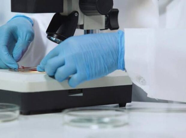 image-1653325946-meymun