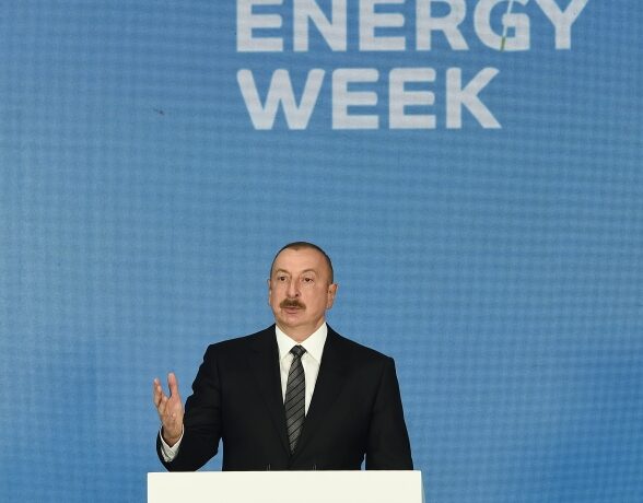 image-16540717364596062177_1000x669