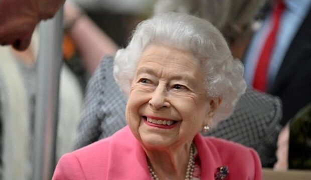 image-1654074904_576d9374-9d7e-4aa0-8f2d-be0cc64ddb65