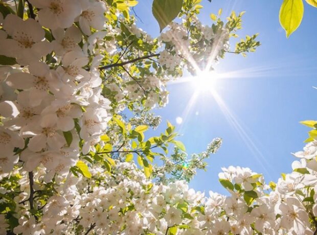 image-1654158344-fff