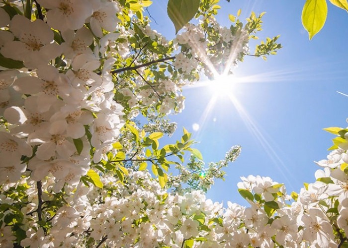 image-1654158344-fff