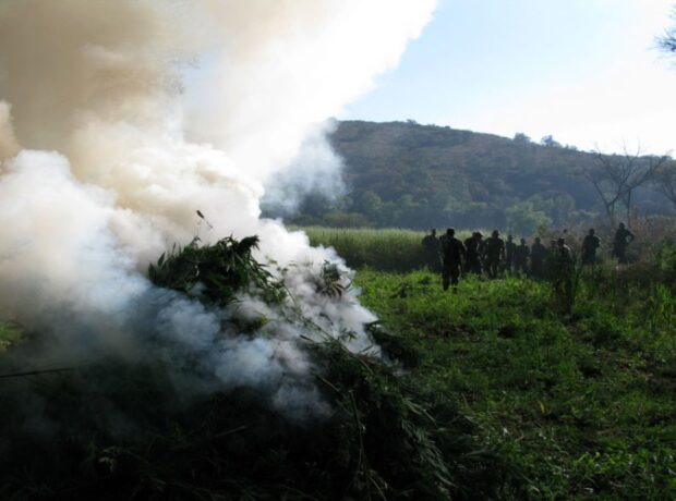 image-1654162013-62987e99143bf62987e99143c0165416104962987e99143bd62987e99143be