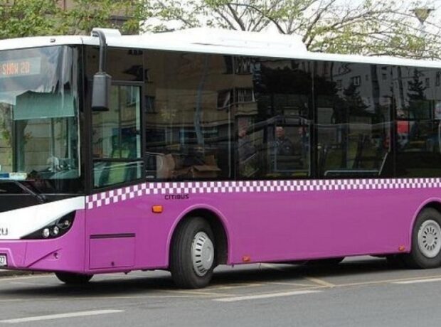 image-1654247981-avtobus