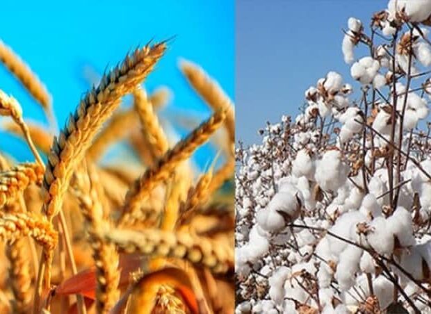 image-1654757001_0001