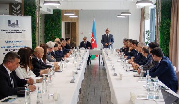 image-1654947489_whatsapp-image-2022-06-11-at-15-36-20