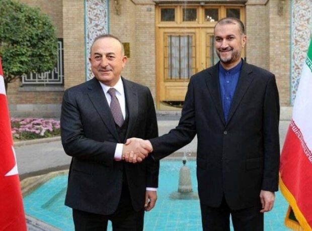 image-1655232422-1651592620-4by7599a2b72a21z2lh_800c450