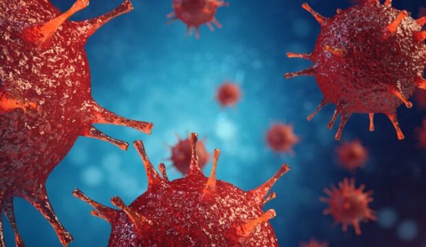 image-1655361893_mmfmymi4ndc4yzqyndrknzdlodbhodfmngeym2flnw-thumb