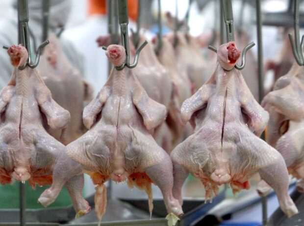 image-1655713218-426821494_0_111_3132_1873_1920x0_80_0_0_ee365ccc4ba5f221add0615334bcb339