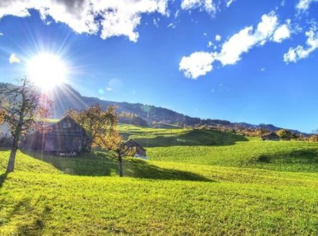 image-1655790038-yay-fesli