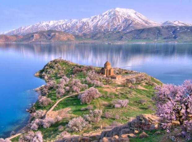 image-1656058783-asfsd-3