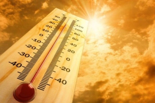 image-1656316561_793098