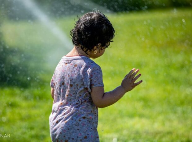 image-1656579138-2022-06-02-12-31-05og1hn7uwp7wq9j7gnmr0_file