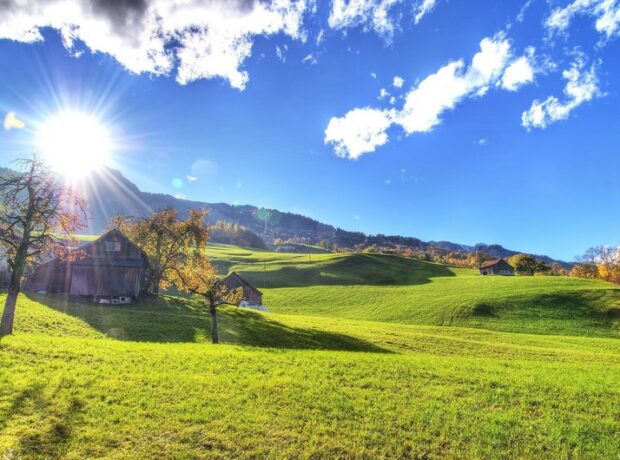 image-7e102239-3c38-3c76-b201-0be0eec625fe_850