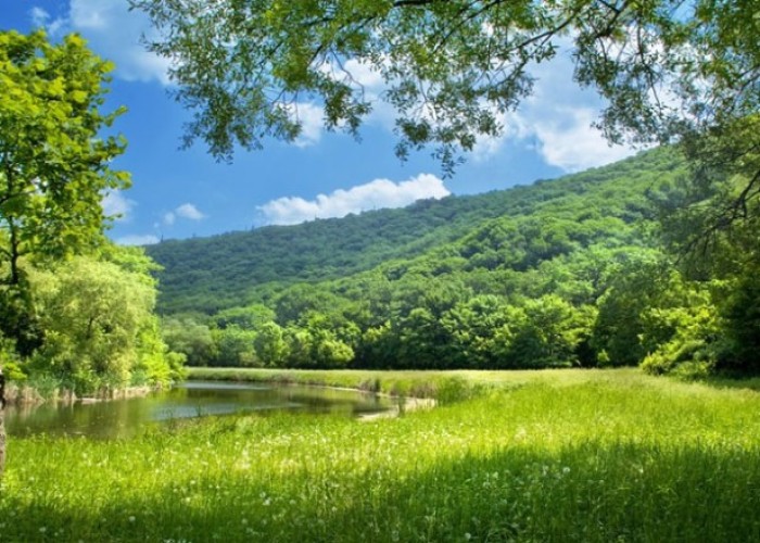 image-1654245829-1628843564-1628240782_havayay