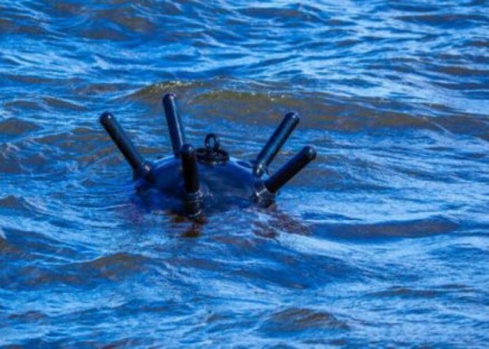 image-1656656969-sea_mina_2850322