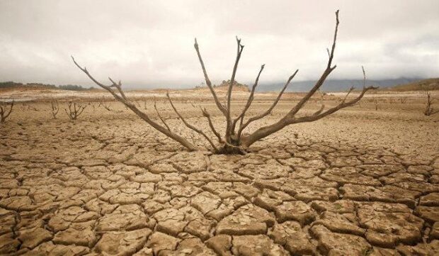 image-1656994747__ena_a44cfcece0c49e10eeea2e44a_o