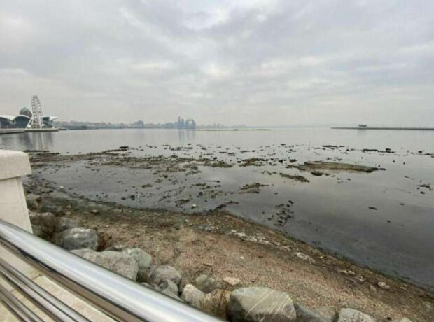 image-1657003135-785478