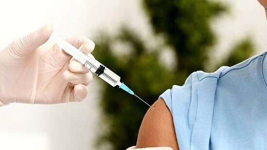 image-1657385909_1638880622_1627745853_peyvend-2