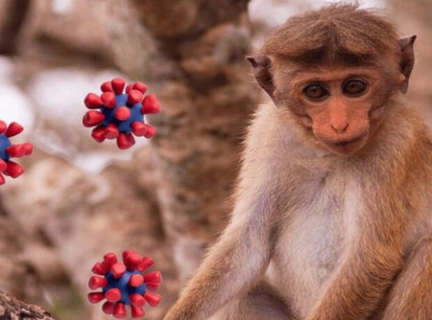 image-1657610185-1653051597273