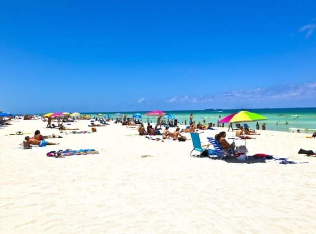 image-1657954027-cimerlik