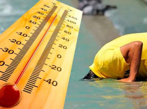 image-1658217099-big_1657956397fotojet_16