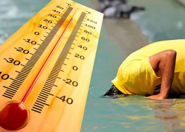 image-1658217099-big_1657956397fotojet_16