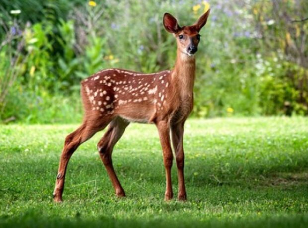 image-1658990987-12852