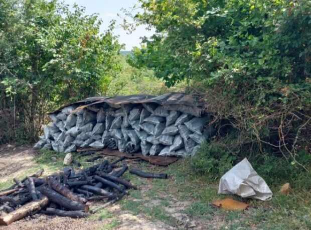 image-1658993078-b6959503-dbd4-36f0-bd4d-6a7984ff5053_850