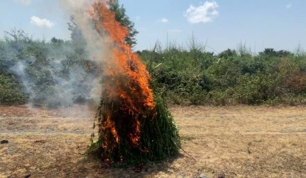 image-1659346350_4770f87e-b038-41aa-8a27-402442f98693