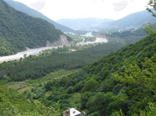 image-1659347514-dc860853-0d31-4788-ab30-7803a3e641fd_1562130683