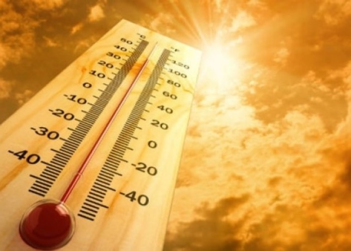 image-1659428258-793098