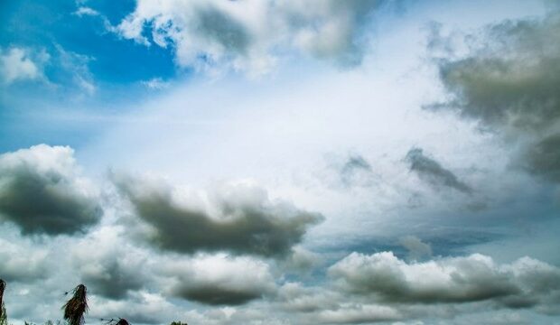 image-1660062913_e818c1a3-7394-3e0e-a5a0-5f0157e519b2_850