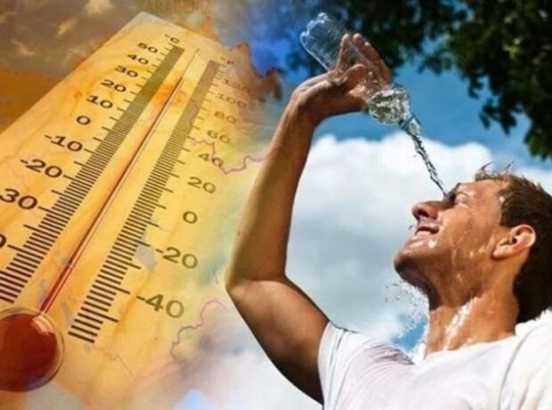 image-1660291936-65d14831e7e55d