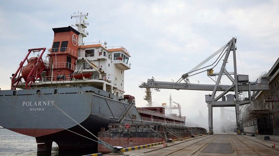 image-1660845312_af4d56460804f362c7a774d3e4a28e5d