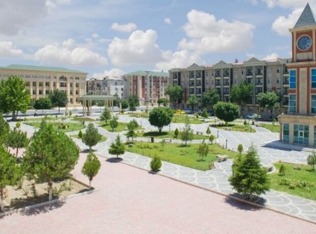 image-1660972011-bc5691c3-c6c3-4241-8ecd-bdbc5b8d8d79