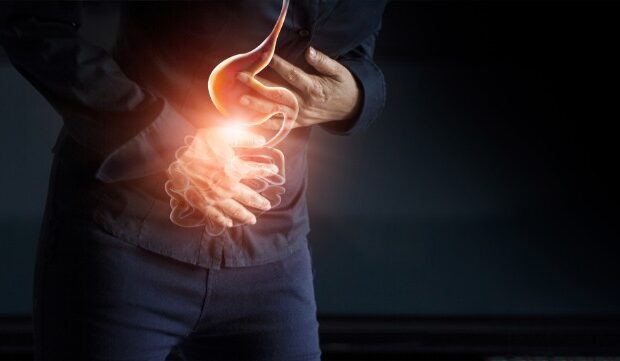 image-1661149773_mede-bagirsaq