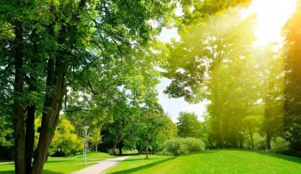 image-1661154993_hava-17