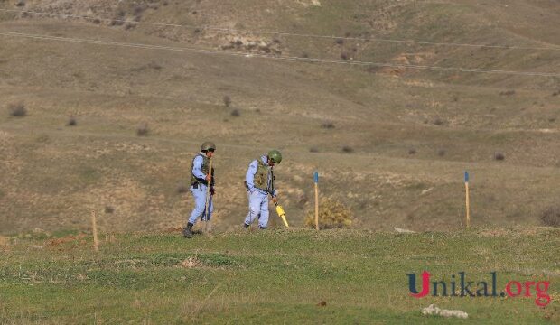 image-1661157020_img_9573