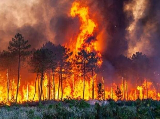 image-1661157392-891660761714