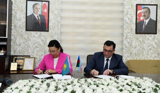 image-1661403751_elm_0388_resize