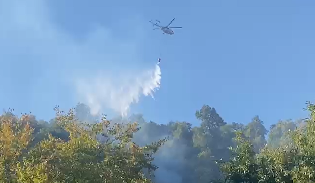 image-1661503769_screenshot_5