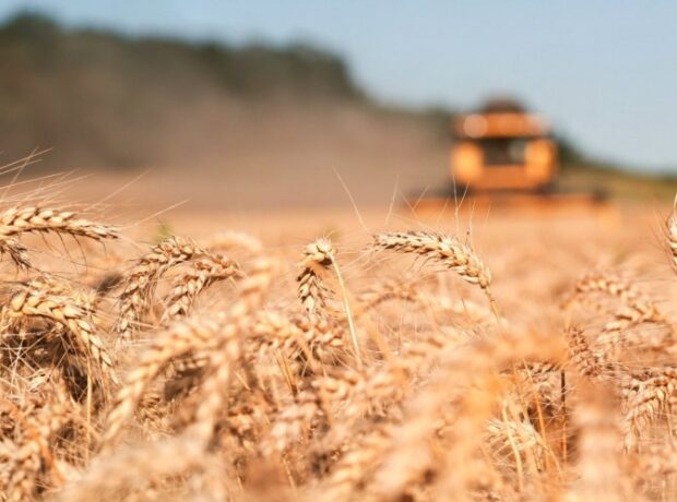 image-1661757723-302443336_10229617343155920_4042128796835085542_n