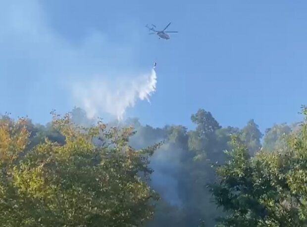 image-1661835517-16616692771109741716_1000x669