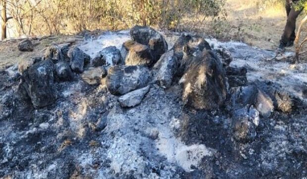 image-1661842855_630db3862e172630db3862e1731661842310630db3862e170630db3862e171